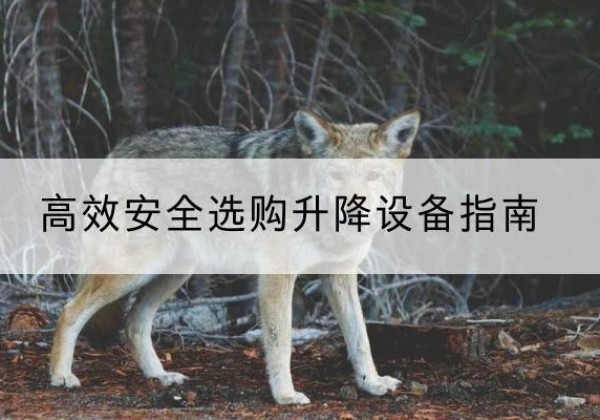 花垣升降货梯厂家推荐-*安全选购升降设备指南