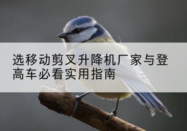花垣电动升降机厂家-选移动剪叉升降机厂家与登高车必看实用指南