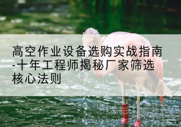 花垣剪叉式升降机厂家-高空作业设备选购实战指南-十年工程师揭秘厂家筛选核心法则